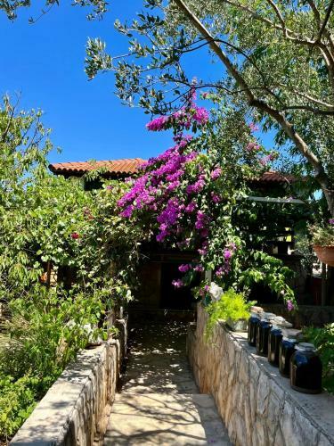 Apartman Gorana With Swimming Pool