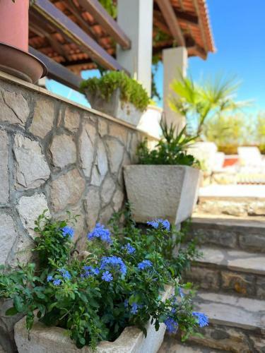 Gorana Apartman With Swimming Pool