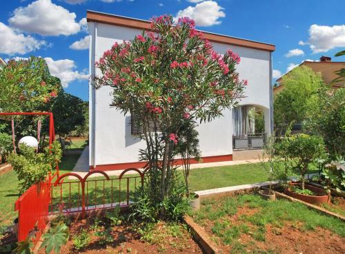 Apartments Ana 418