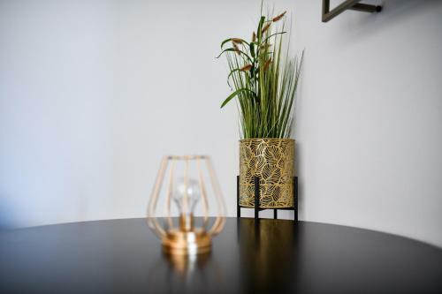 Apartment Draga
