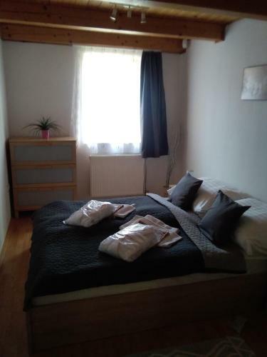 Villa Hajni Vend�gh�z