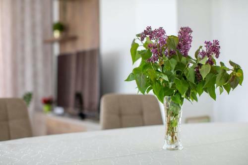 Villa Asz�vil�g Rezidencia With Sauna & Jacuzzi