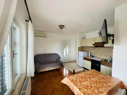 Apartamentos Villa Tajnikov