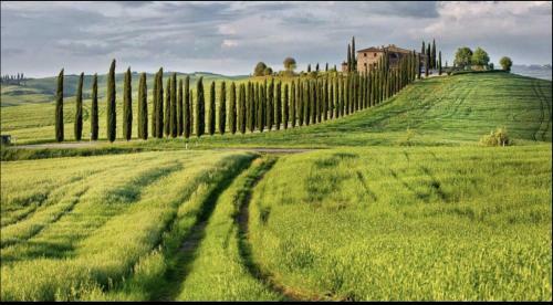 Apartamento A Casa Di Ale
