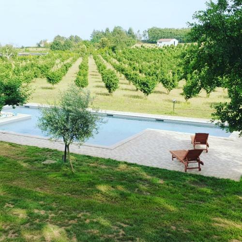 Villa Domus Nirale