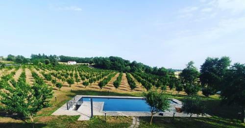 Villa Domus Nirale