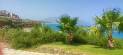 Casa Beach