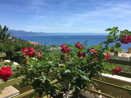 Apartamento Casa Erice