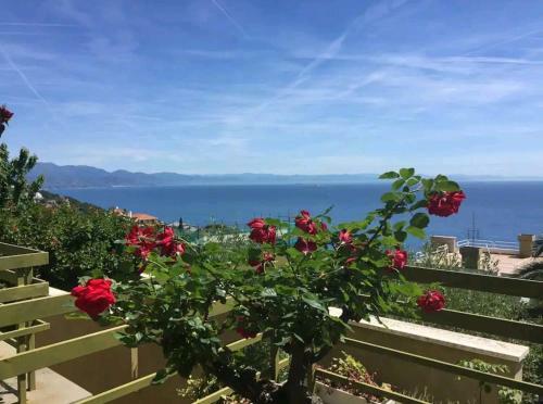 Apartamento Casa Erice