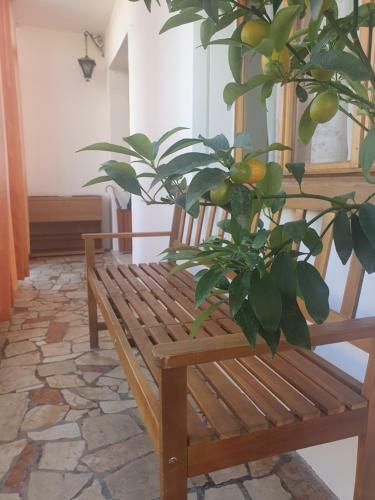 Margi House