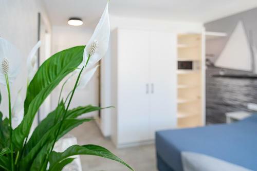 Apartamento Baur Suite 2