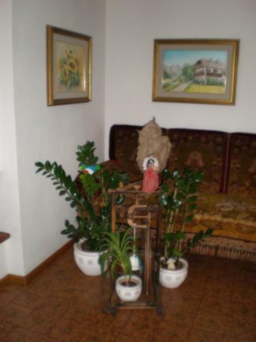 Bed & Breakfast Oberlechnerhof