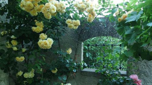 Bed & Breakfast Mas Grimaud - Chambres D'h�tes Familiales