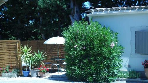 Bed & Breakfast Mas Grimaud - Chambres D'h�tes Familiales
