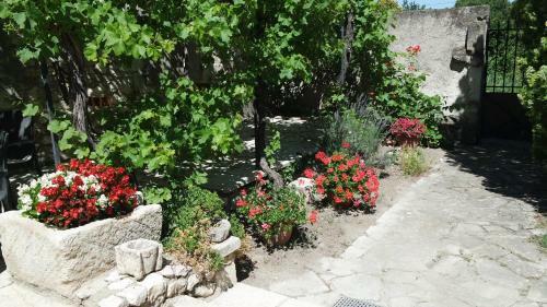 Bed & Breakfast Mas Grimaud - Chambres D'h�tes Familiales