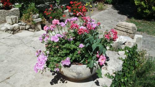 Bed & Breakfast Mas Grimaud - Chambres D'h�tes Familiales