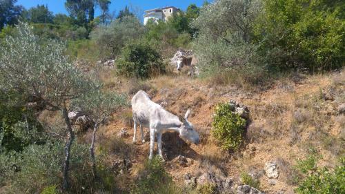 Bed & Breakfast Le Moulin De Varrians