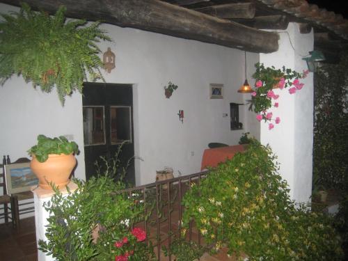 Hostal Posada Del Casta�o