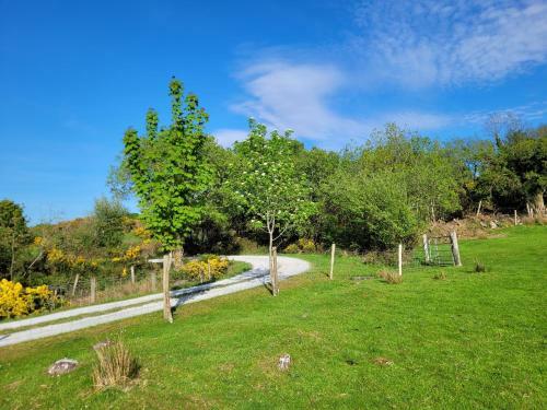 Oaklane Glamping Cabins