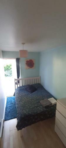 Room With Saloon And Kitchen