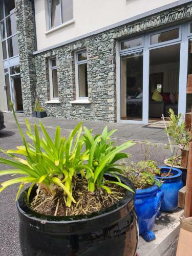 Ard Kielin Apartment Luxury 2 Bedroom In Killarney