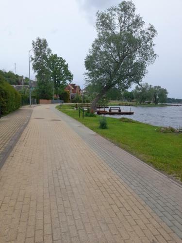 Pas Vytauta