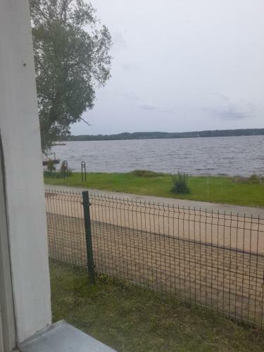 Pas Vytauta