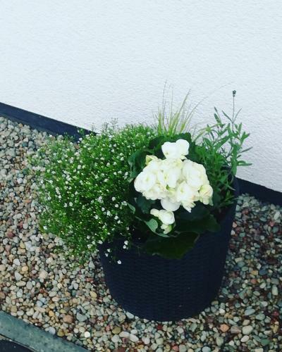 Apartamentai Prie J?ros 1