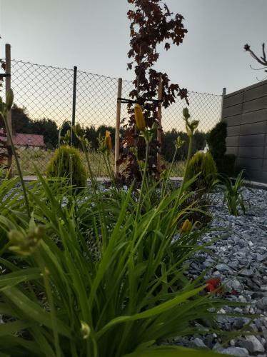Apartament Nadziei