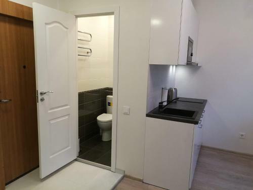 Vilnius Town Apartmen