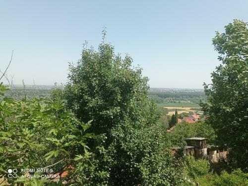 Villa Vikendaja