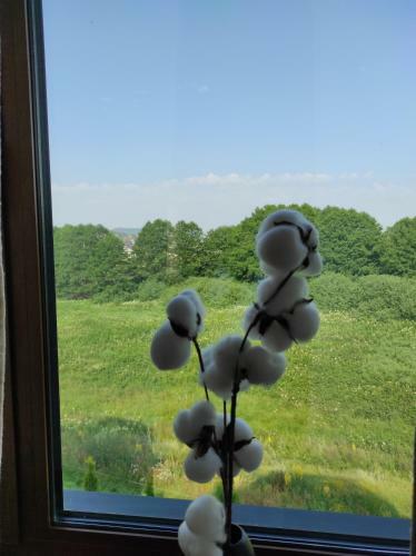 Apartment Secret Nest