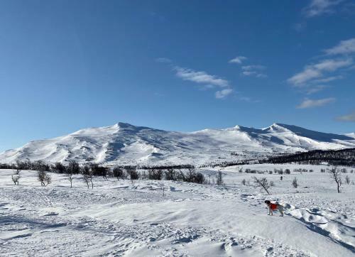 Fj�llhus I Fun�sdalen