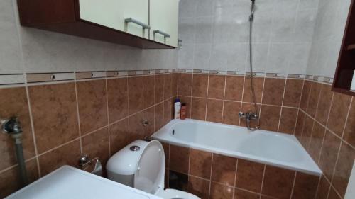 Apartment Nemanja