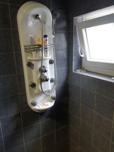 Apartman Temerinska