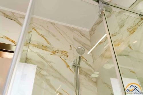Hostal Conacul Doamnei