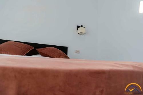 Hostal Conacul Doamnei