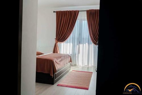 Hostal Conacul Doamnei