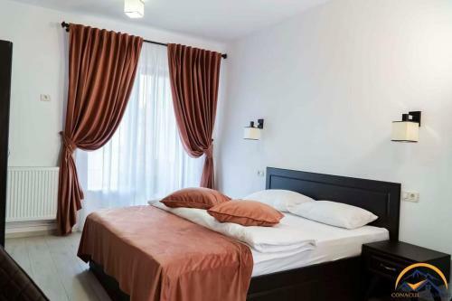 Hostal Conacul Doamnei