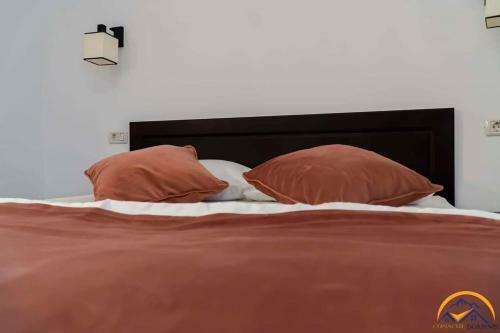 Hostal Conacul Doamnei