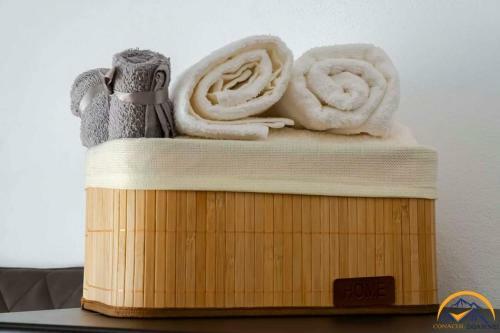 Hostal Conacul Doamnei