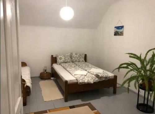 Apartamento Casa Dora