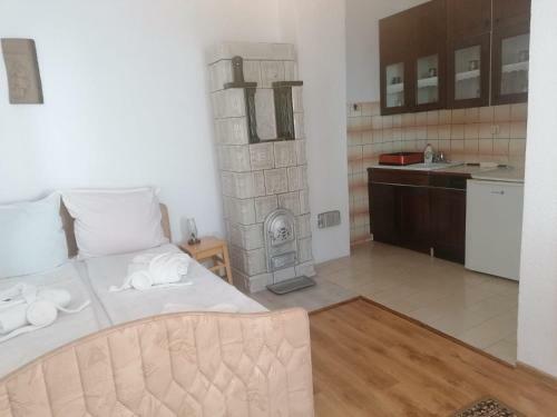 Hostal Pensiunea Spack