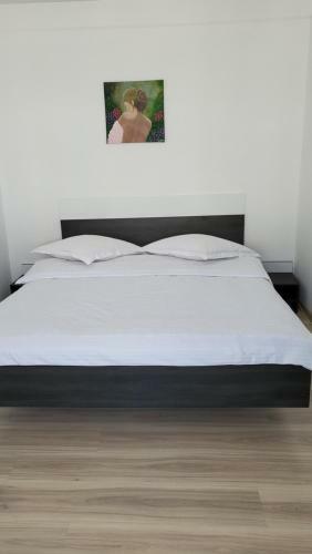Apartament Pandora