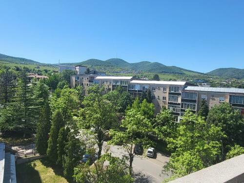 Apartament In Regim Hotelier Deva