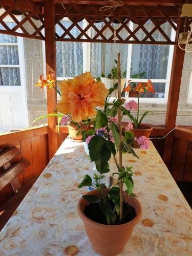 Hostal Casa Di Madi