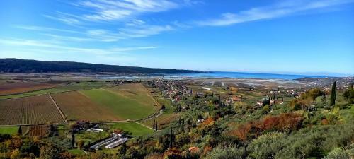 Apartments Milok