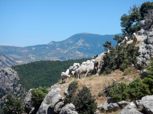 Bed & Breakfast Il Belvedere