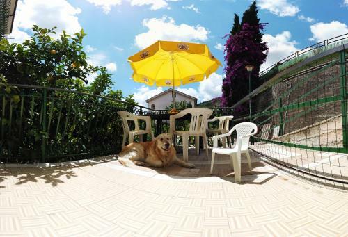 Apartamento La Casa Rosa Dolceacqua