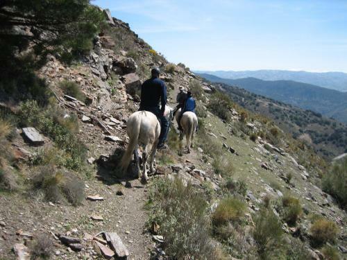 Cortijo Opazo